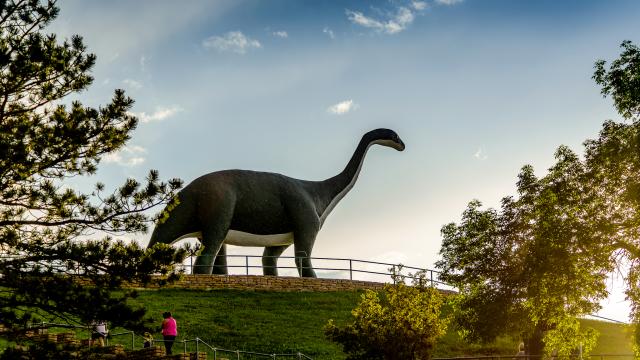 Dinosaur Park