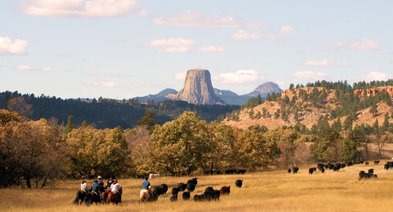 Devils Tower Country