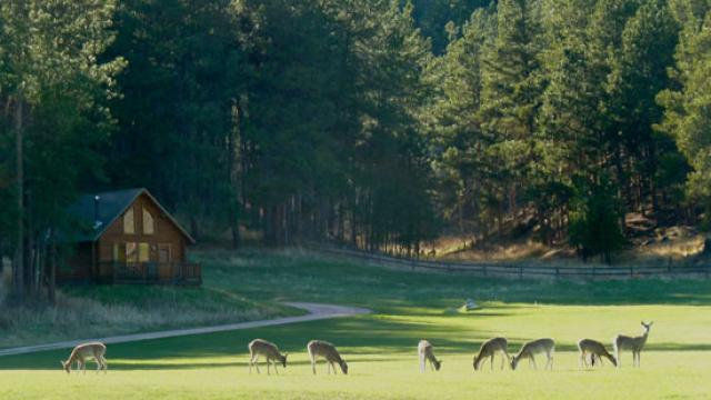 Newton Fork Ranch