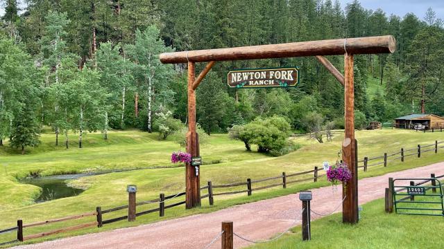 Embrace Nature's Serenity at Newton Fork Ranch | The Black Hills and ...