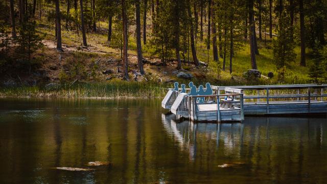 Custer State Park