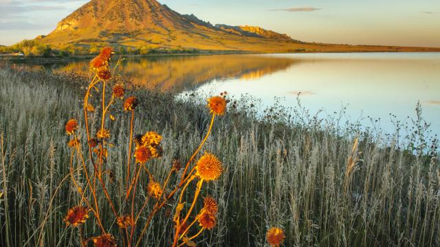 Bear Butte