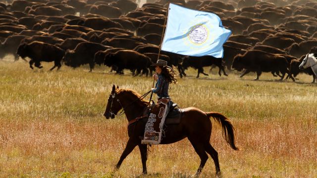 Custer State Park