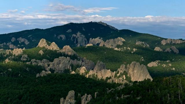 Black Hills National Forest