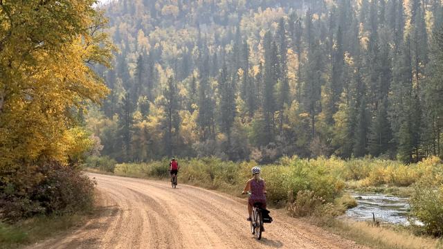 Black Hills Tour Company