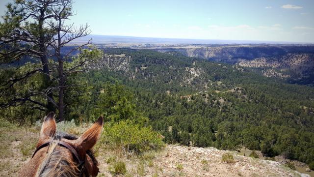 Saddle up for adventure