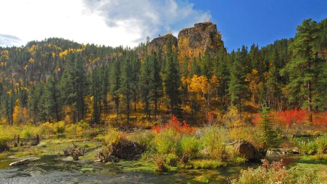 Spearfish Canyon 