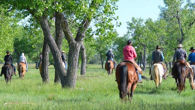 Home Ranch LLC