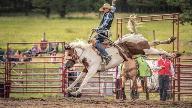 saddle bronc