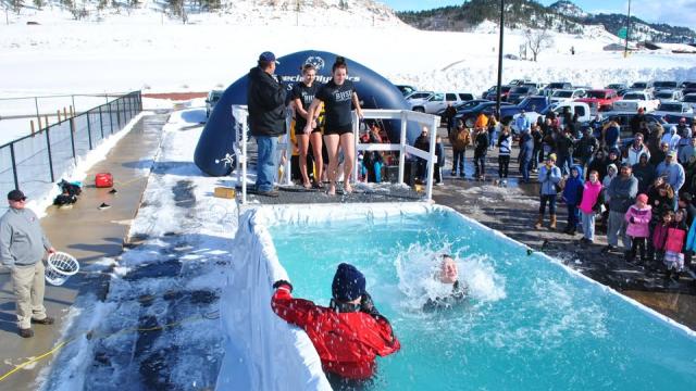 Polar Plunge