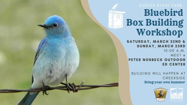 Blue bird box