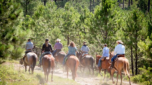 Horseback Riding