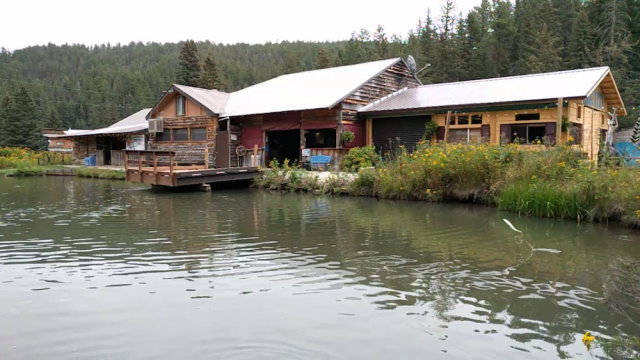 Fish 'N Fry Trout Pond