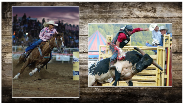 rodeo image