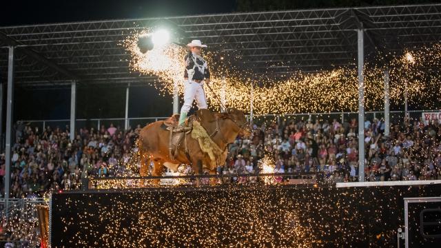 Annual Black Hills Roundup