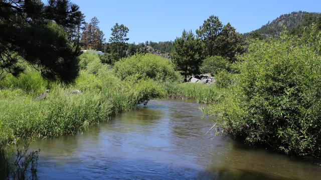 Firehouse Campground Creek