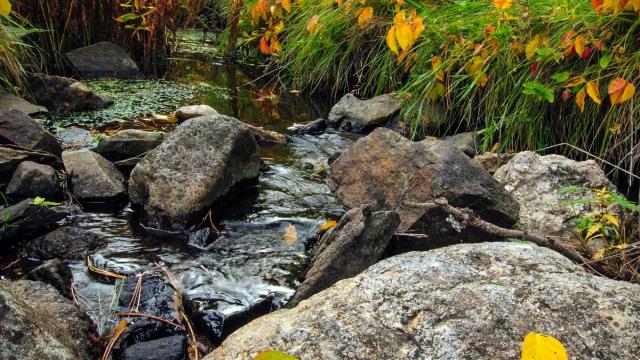 Fall in the Black Hills & Badlands