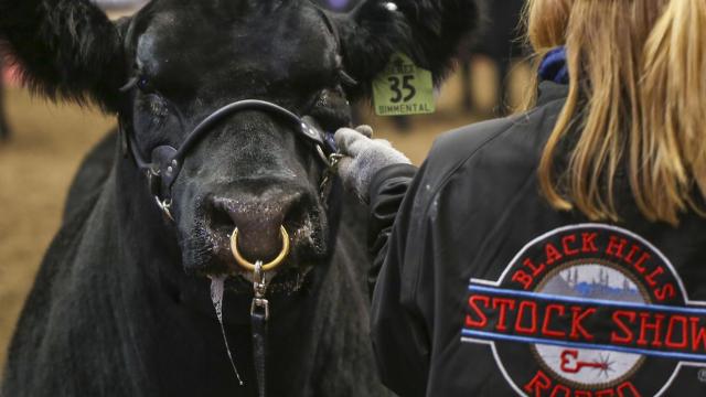 Black Hills Stock Show & Rodeo