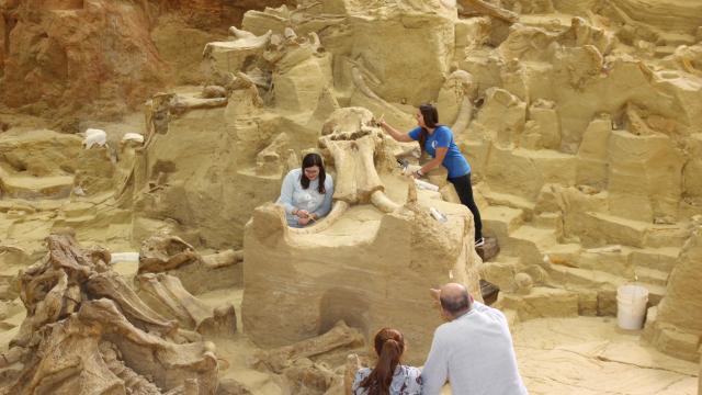 The Mammoth Site of Hot Springs