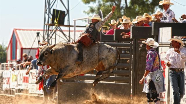 Annual Black Hills Roundup