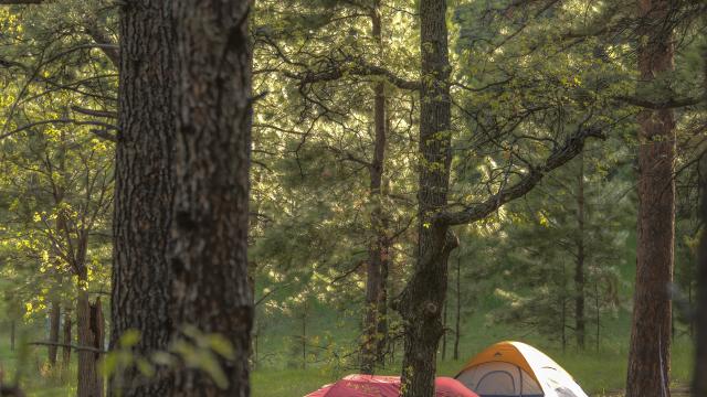 Camping 101 to 110 in the Black Hills and Badlands of South Dakota