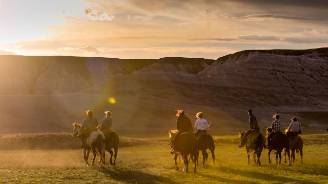 Horseback Riding