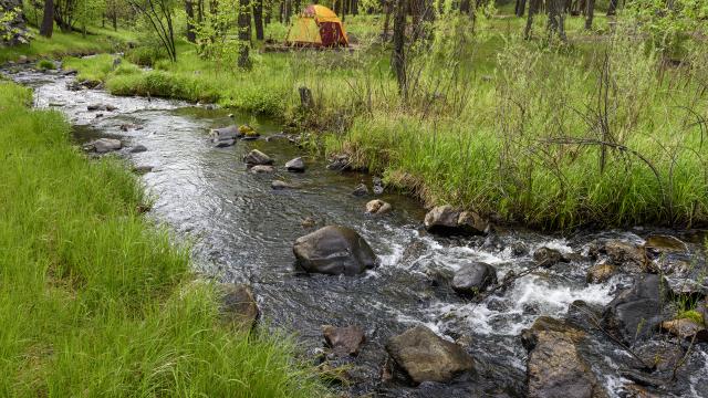 Camping 101 to 110 in the Black Hills and Badlands of South Dakota