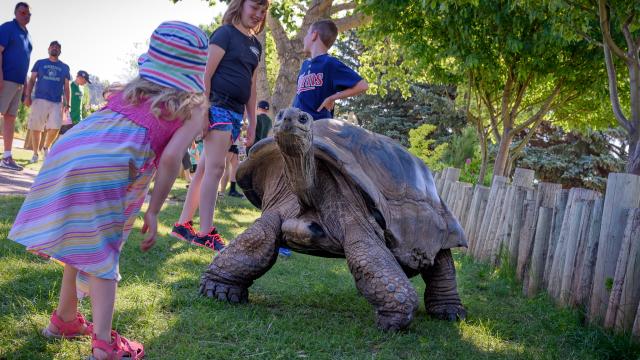 Reptile Gardens