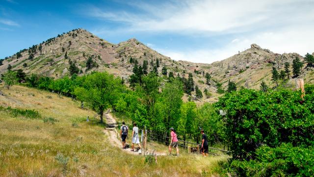 Black Hills Trails