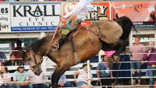 Bronc Rider mitchell