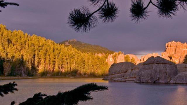 Custer State Park at night