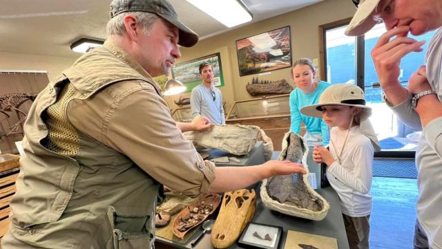 Dinosaurs of the Hell Creek Museum