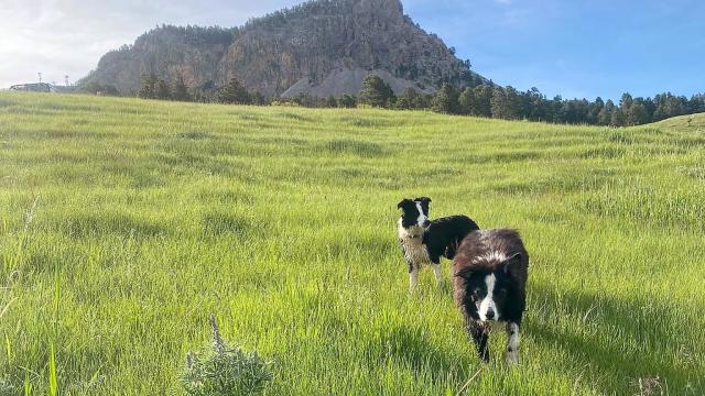 Sundance White Ranch Park