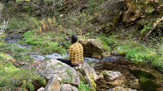 Origin Forest Bathing