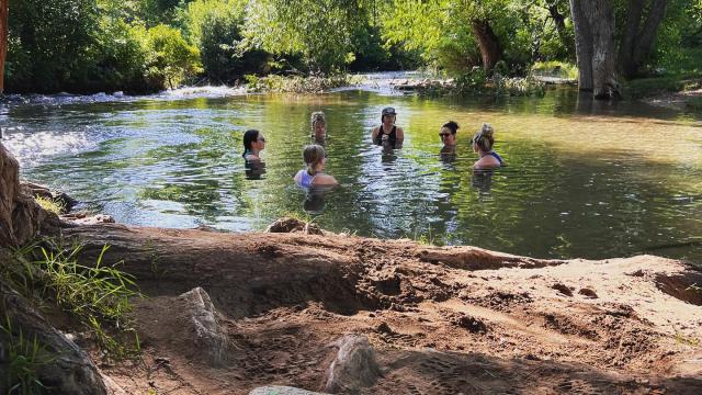 Origin Forest Bathing