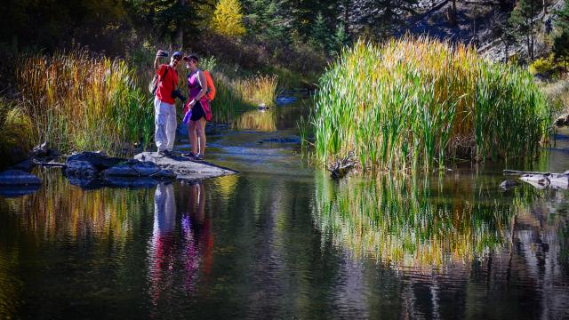 Fall Hike