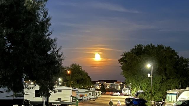 Black Hills RV Park