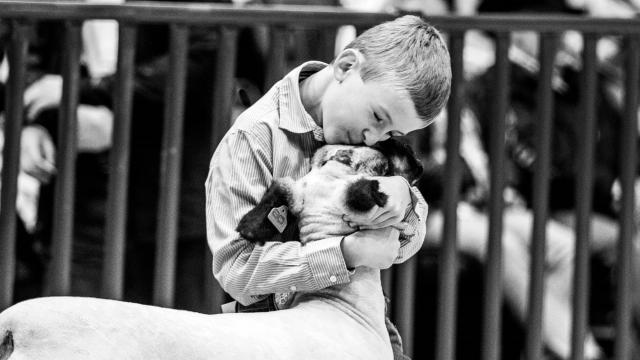 Black Hills Stock Show & Rodeo