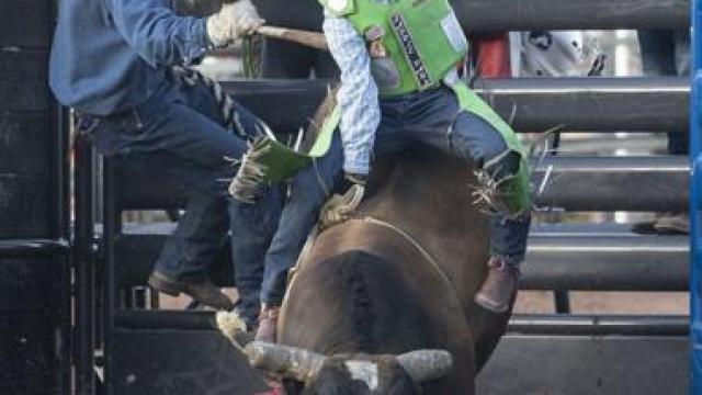 kids riding bull