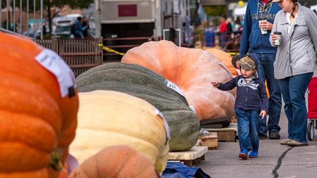 Big Pumpkin