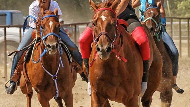 Native Horse Race