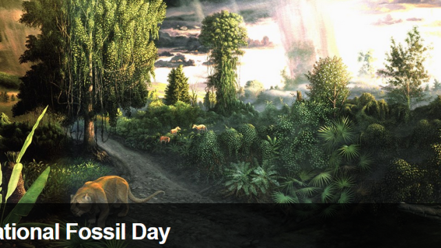 National Fossil Day