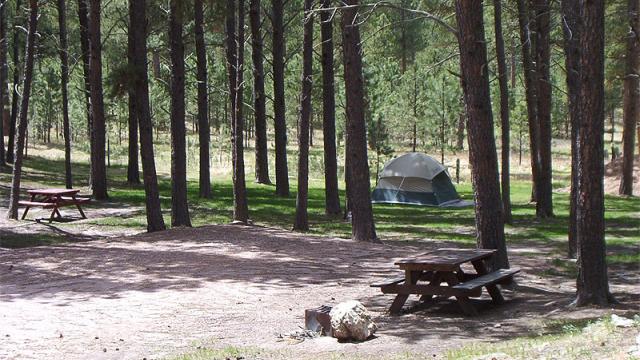 Big Pine Campground