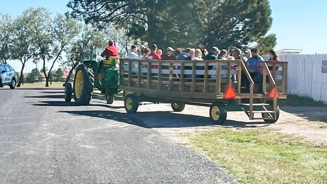 Old MacDonald's Farm