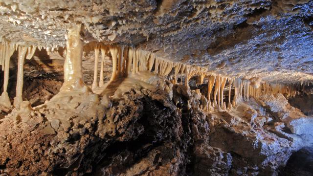 gold mine tours black hills south dakota