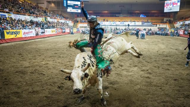 bull riding