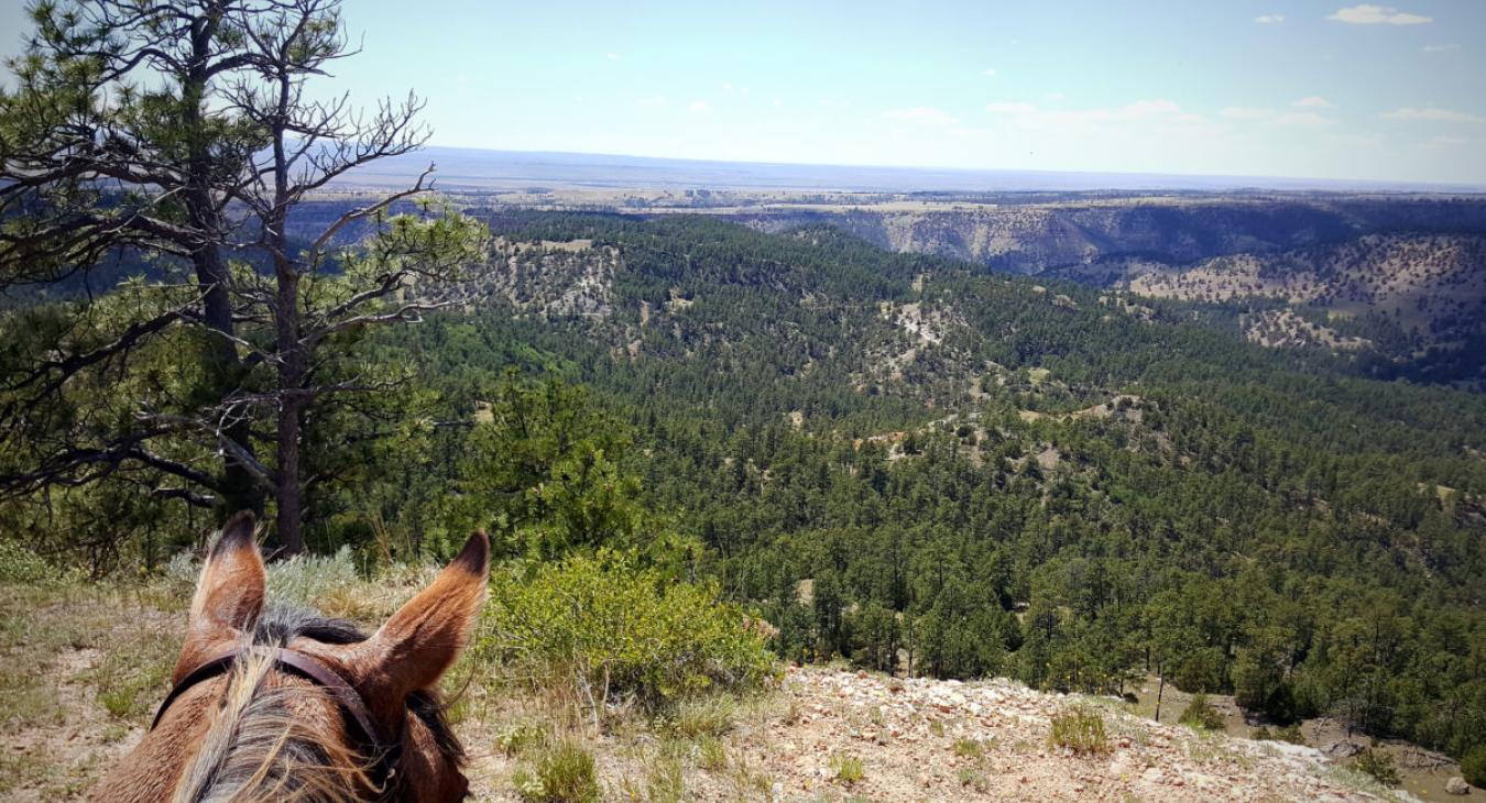 Saddle up for adventure