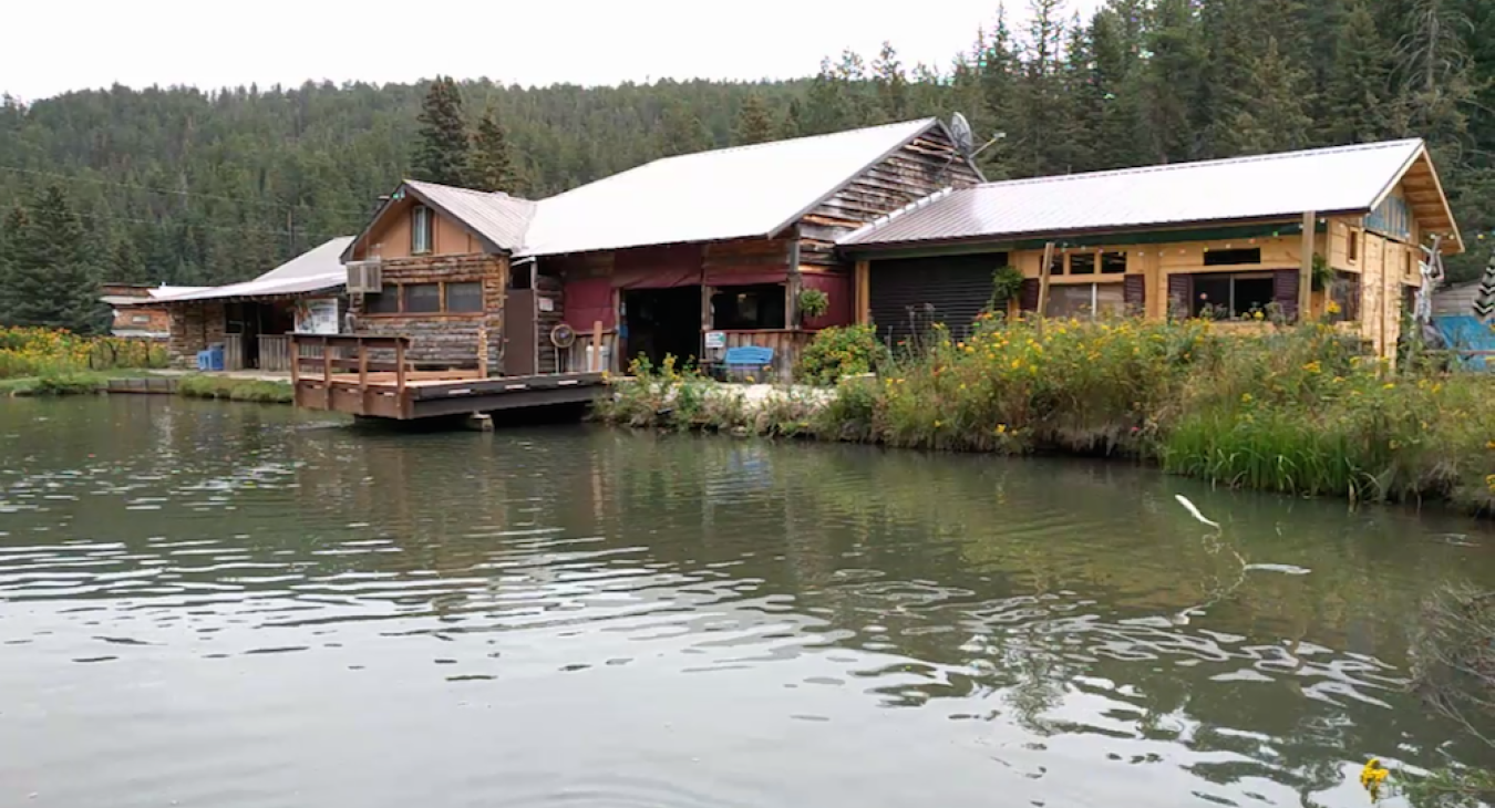 Fish 'N Fry Trout Pond