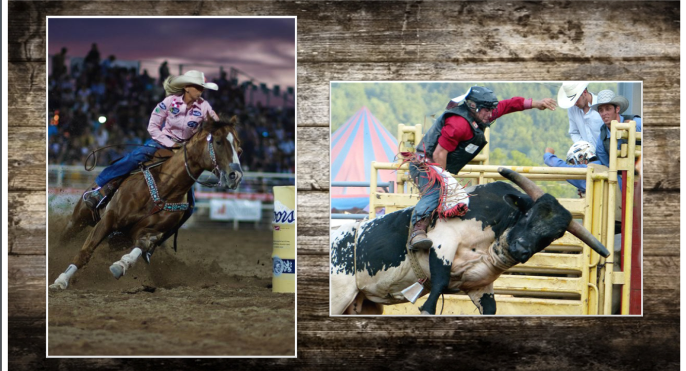 rodeo image