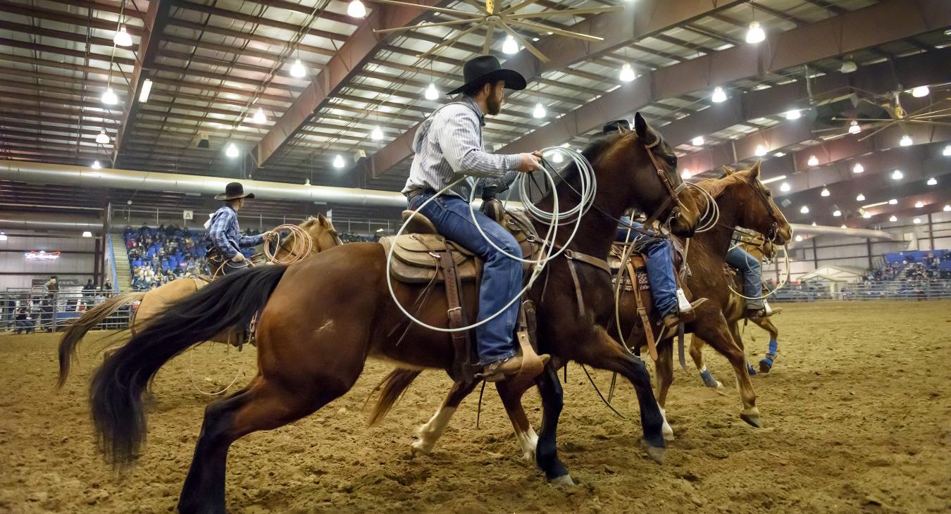 Black Hills Stock Show & Rodeo